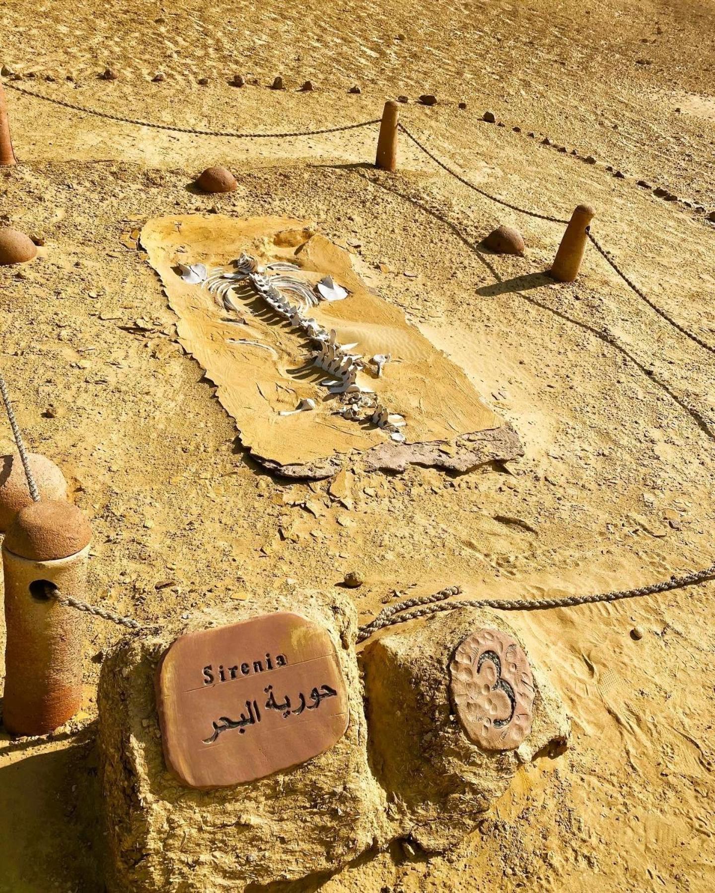 Hamza Pyramids Il Cairo